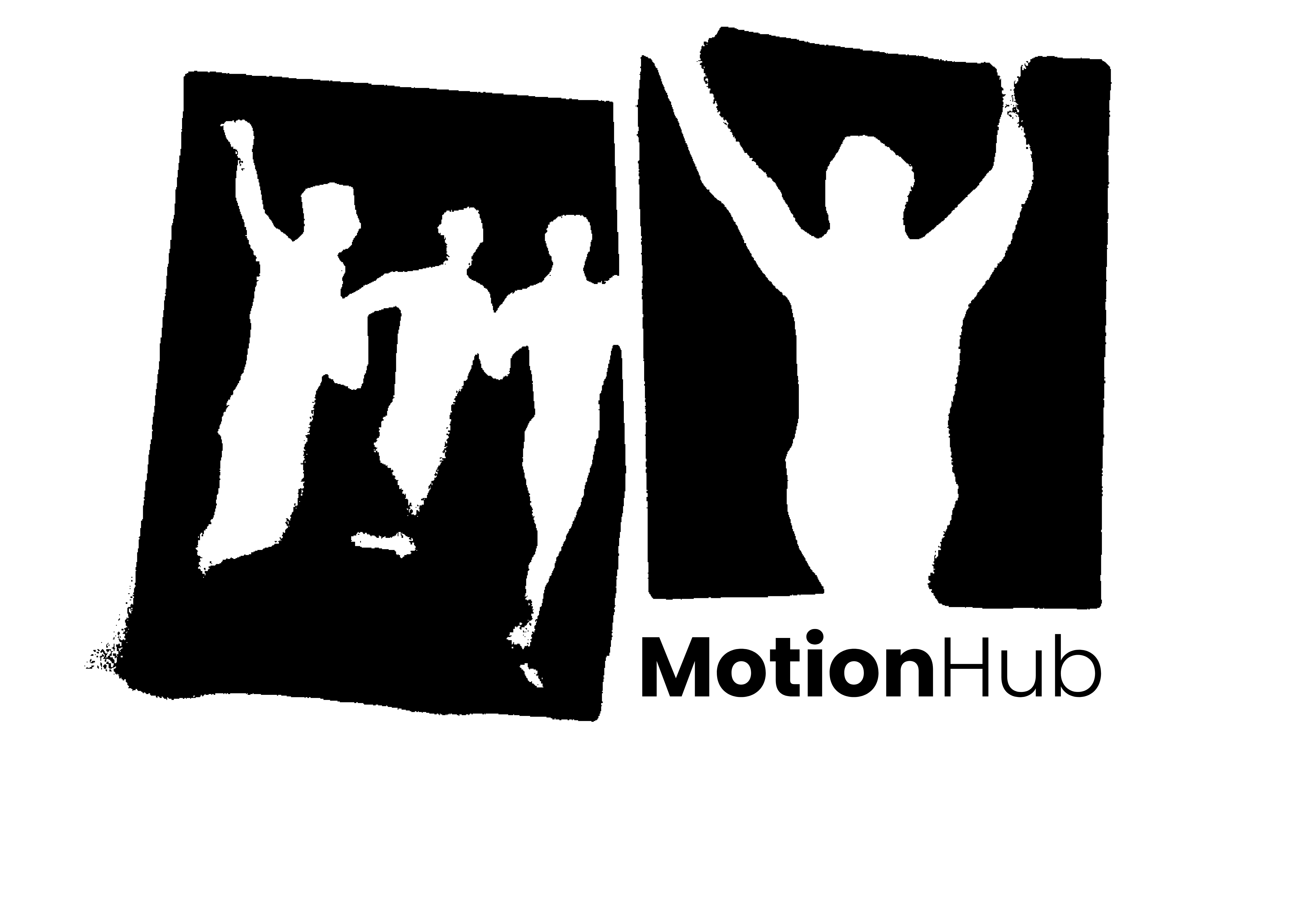 MotionHub